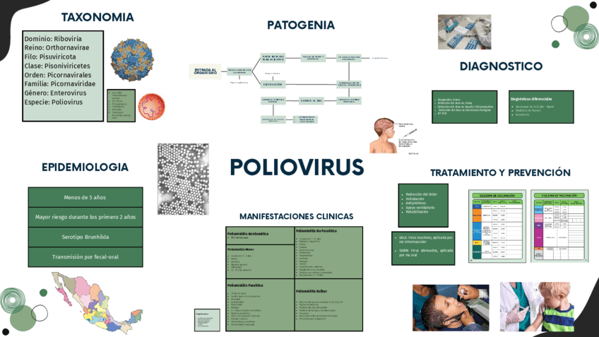 POLIOVIRUS.pdf