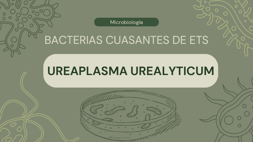 Ureaplasma-urealyticum.pdf