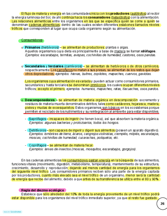 Cadenas-alimenticias-explicacion-cientifica.pdf