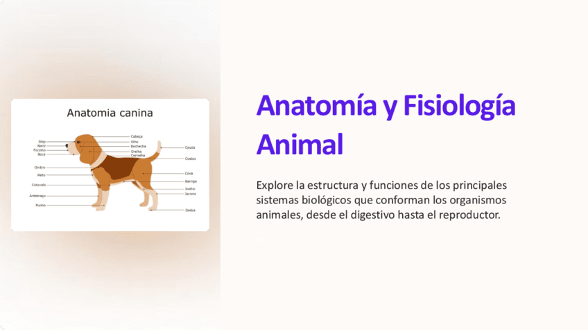 Anatomia-y-Fisiologia-Animal.pdf