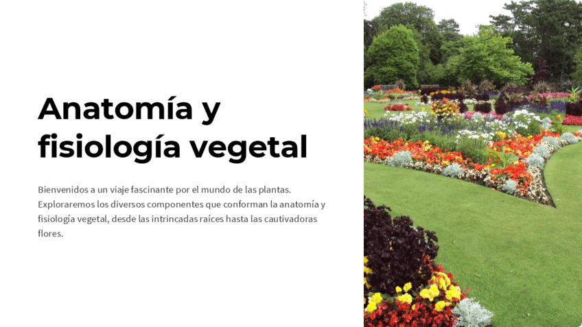 Anatomia-y-fisiologia-vegetal.pdf