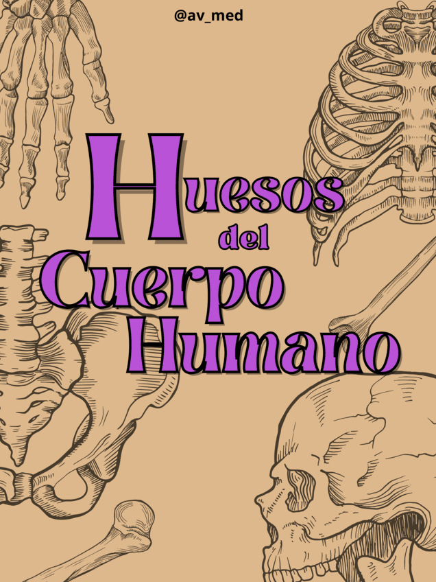 Apuntes-Huesos-del-Cuerpo-Humano.pdf