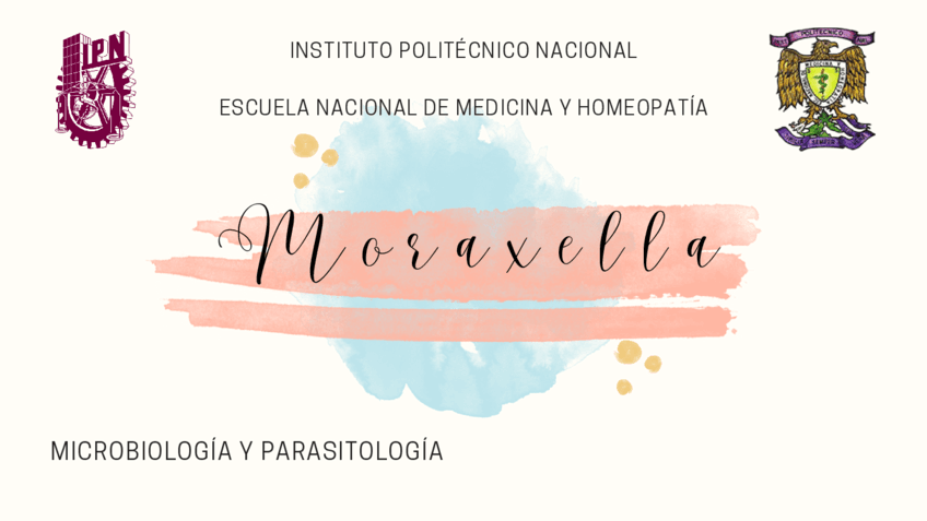 Moraxella.pdf