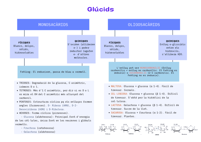 Esquema-glucids.pdf