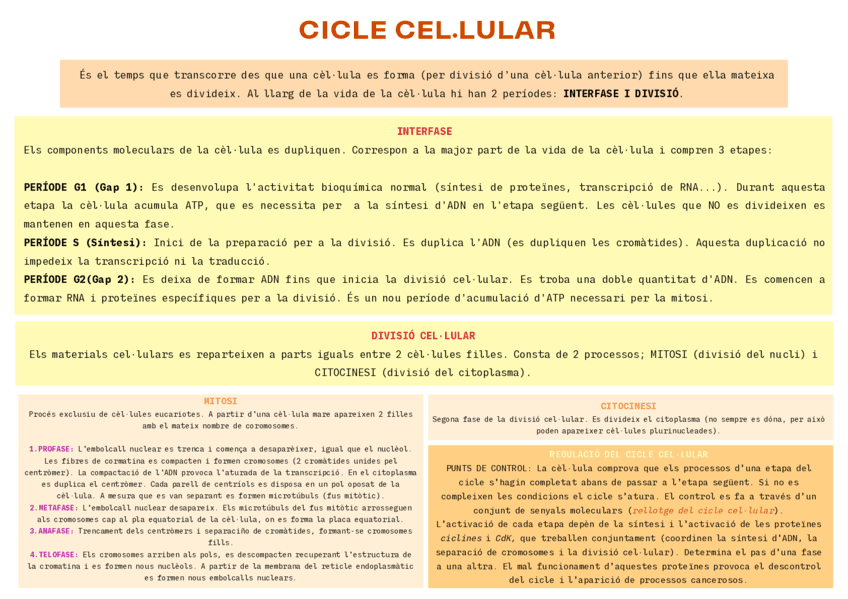 Esquema-cicle-cellular.pdf