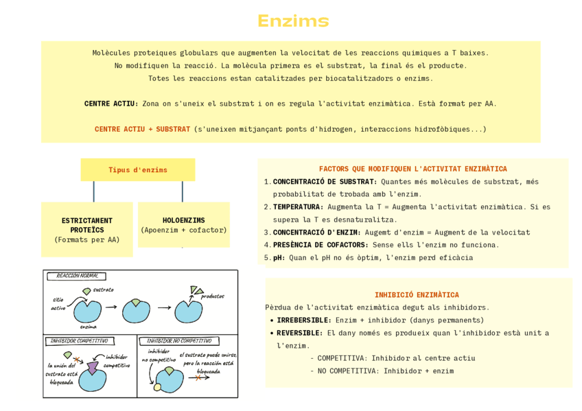 Esquema-enzims.pdf