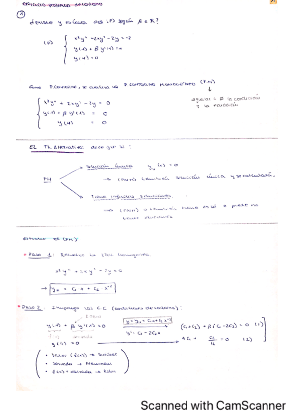 Segundo-parcial-castineira.pdf