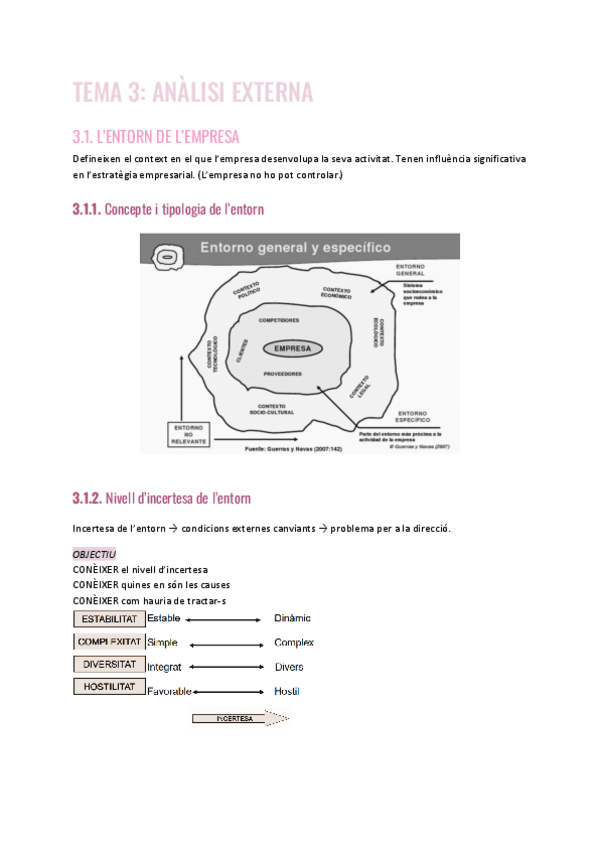 TEMA-3.-ANALISI-EXTERNA.pdf