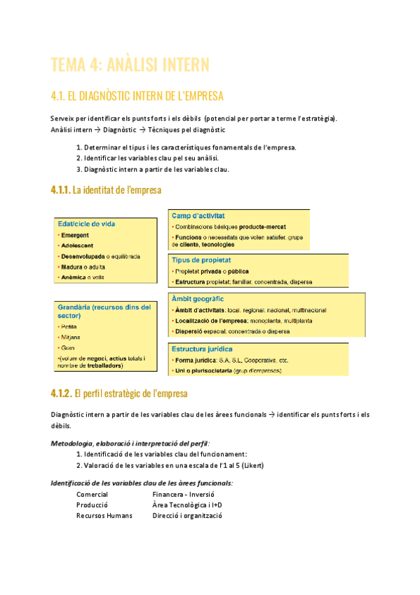 TEMA-4-DIAGNOSTIC-ESTRATEGIC-II.pdf