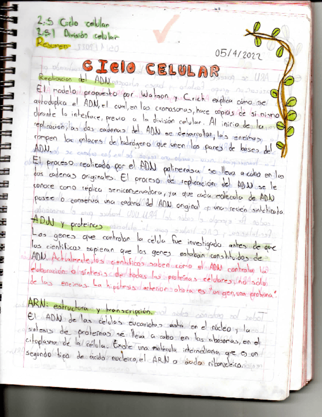 Ciclo-Celular-Biologia.pdf