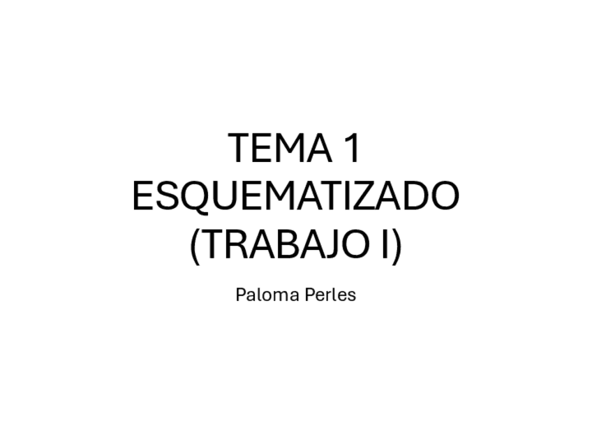 T1-ESQUEMATIZADO-TRABAJO-I.pdf