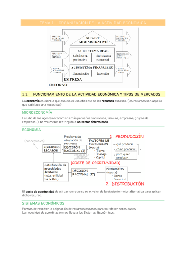 T1-ORGANIZACION-DE-LA-ACTIVIDAD-ECONOMICA.pdf