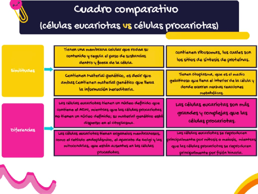 Celulas-eucariotas-vs-procariotas.pdf