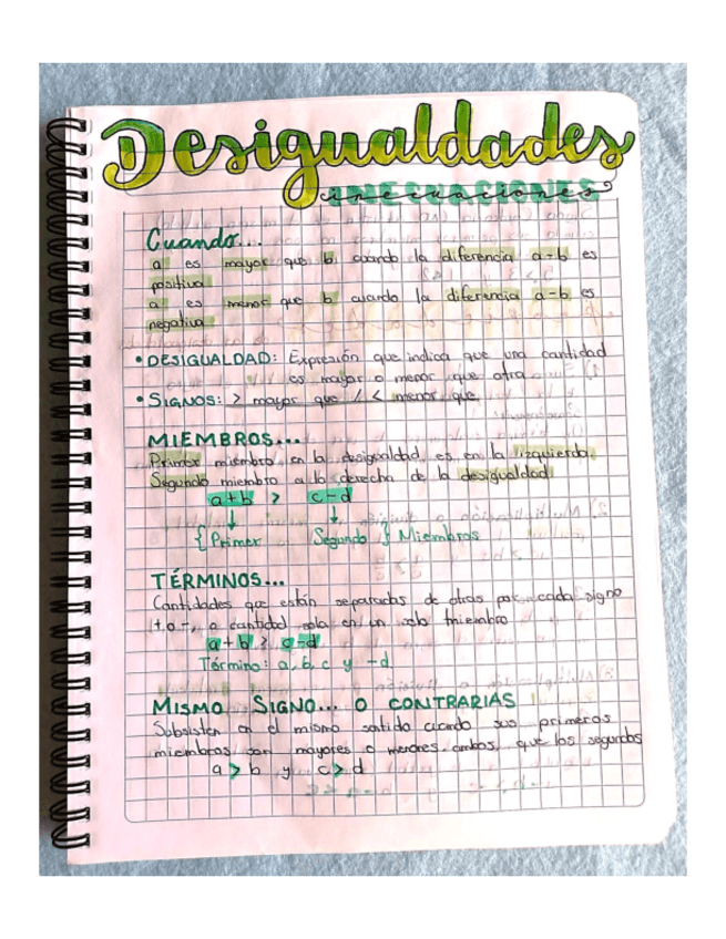 DESIGUALDADESINTRODUCCIONAPUNTE.pdf