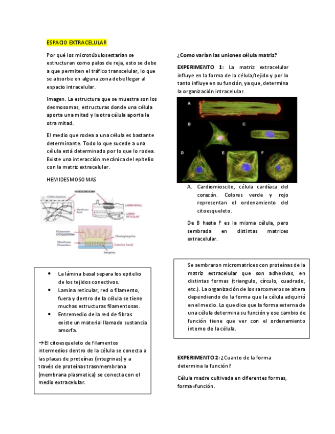 Matriz-extracelular-Biologia-celular-y-molecular.pdf