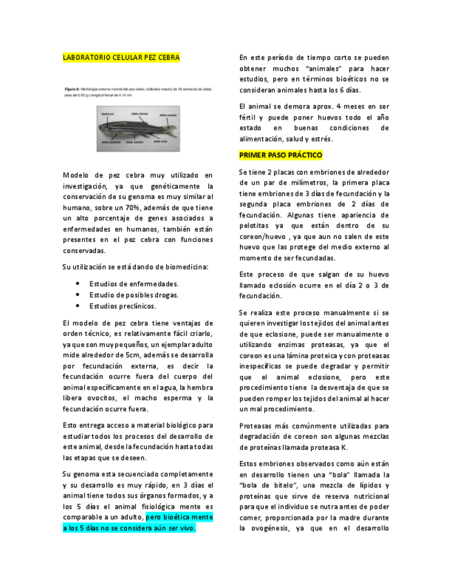 Resumen-laboratorio-Biologia-celular-y-molecular.pdf