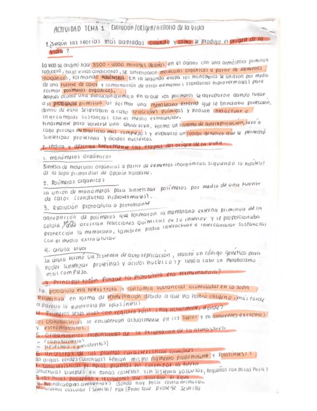 Tema-3-resumen-y-actividad.pdf