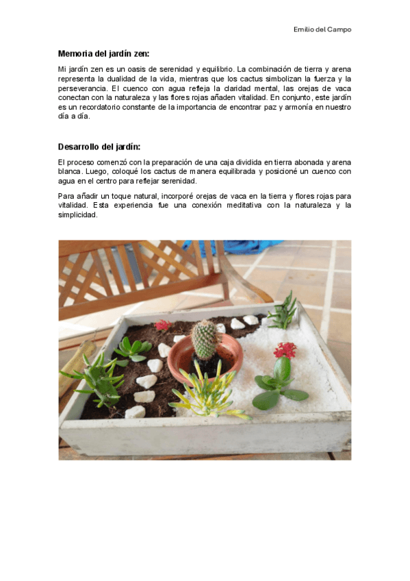 Memoria-del-jardin-zen.pdf
