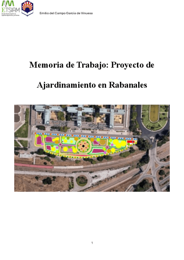 Memoria-de-Trabajo.pdf