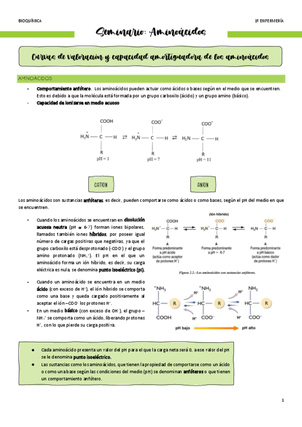 Seminario-Aminoacidos-y-curvas-de-valoracion.pdf