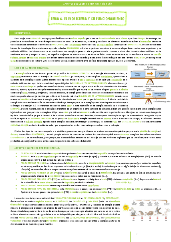 Apuntes-ECO1-27-28.pdf