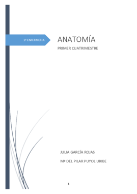 ANATOMIA APUNTES.pdf