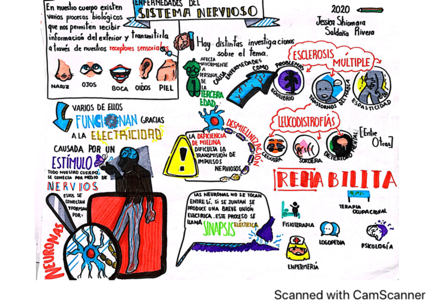 SaludSistema-NerviosoSalrive-JeShio.pdf