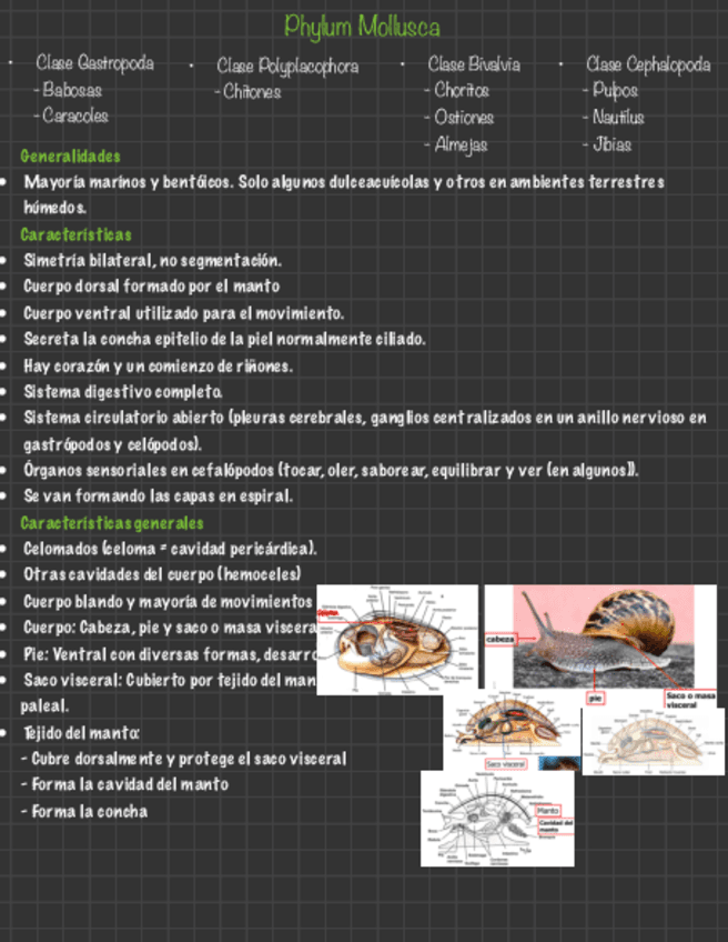 Zoologia-Resumen.pdf