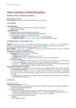 Apuntes de Derecho de la persona.pdf