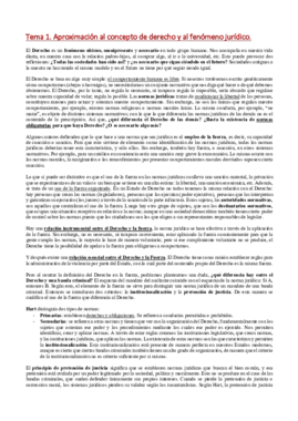 Apuntes completos de teoría del derecho.pdf