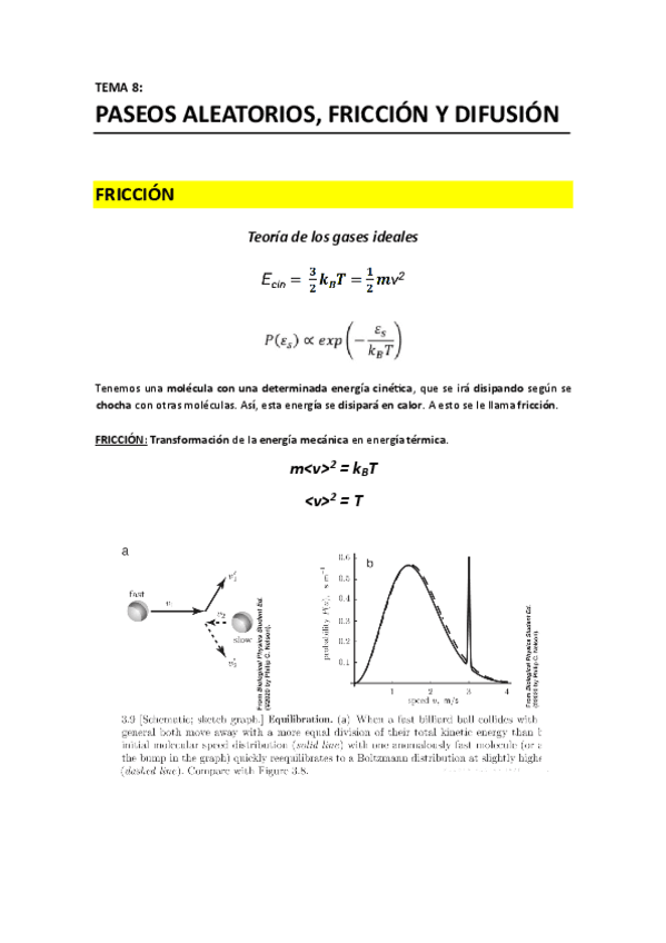 T8 - Paseos aleatorios friccion y difusion.pdf