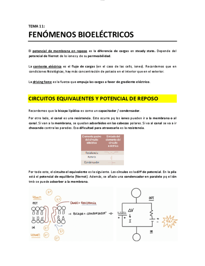T11 - Fenomenos bioelectricos.pdf