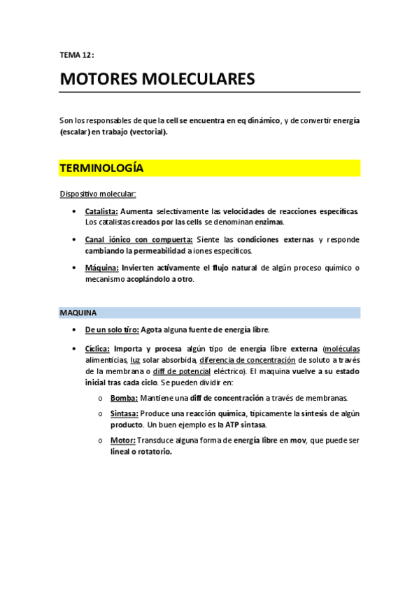 T12 - Motores moleculares.pdf