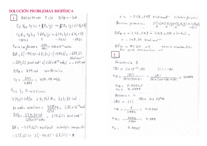 PROBLEMAS T5 - Soluciones.pdf