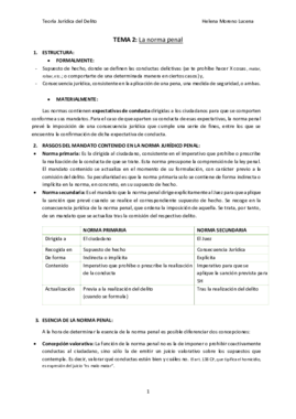 TEMA 2 PENAL.pdf