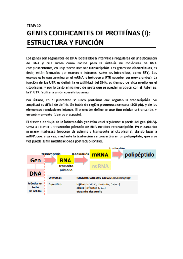 TEMA 10 - Genes codificantes de proteinas I. Estructura y funcion.pdf