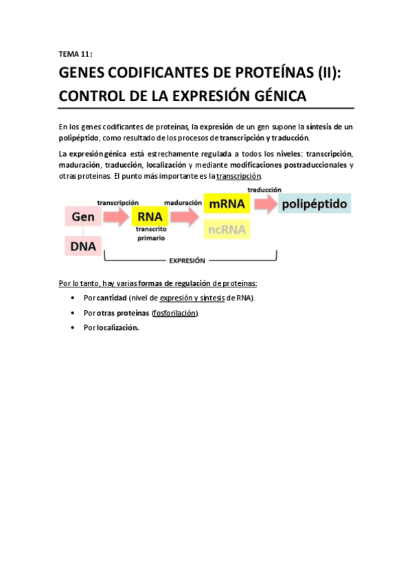 TEMA 11 - Genes codificantes de proteinas II. Control de la expresion.pdf