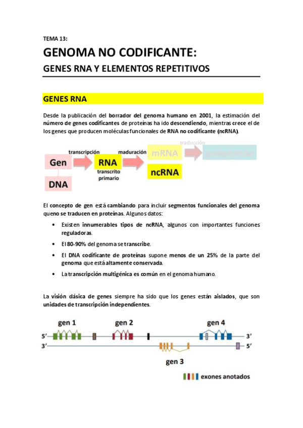 TEMA 13 - Genoma no codificante.pdf