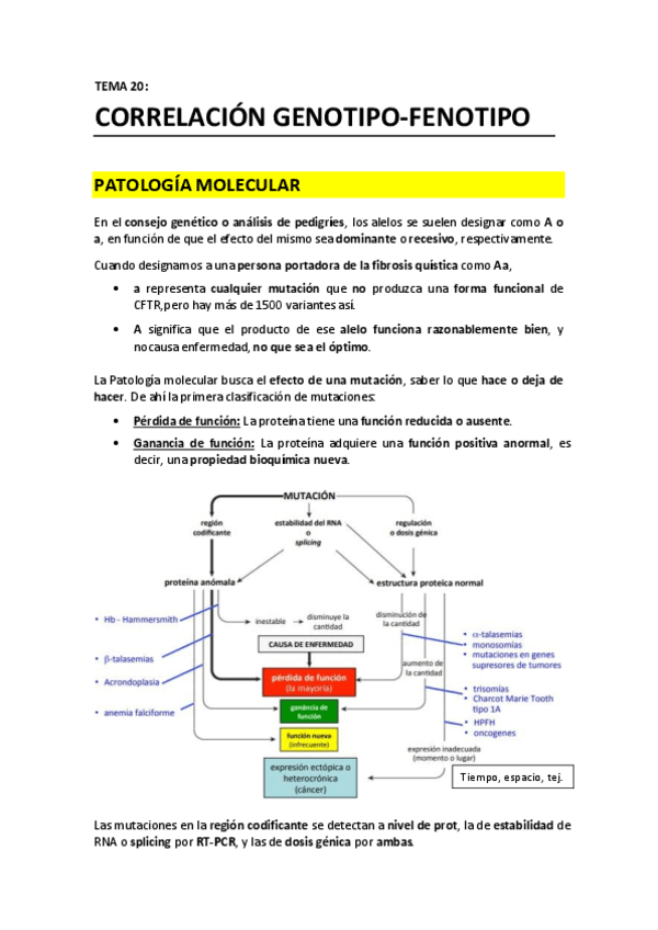 TEMA 20 - Correlacion genotipo fenotipo.pdf