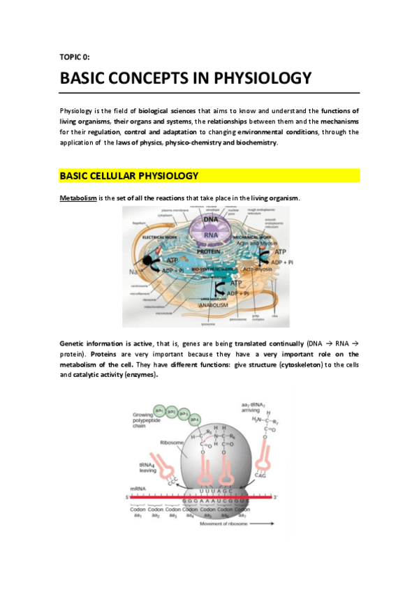 T0 - Basic Concepts in Physiology.pdf