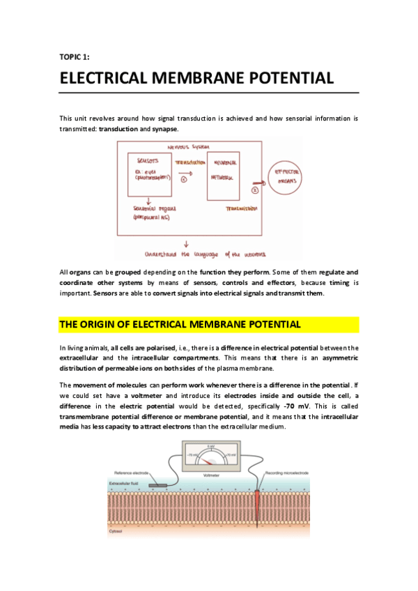 T1 - Electrical Membrane Potential.pdf
