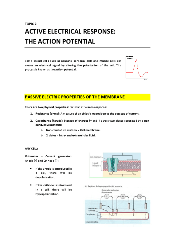 T2 - Active Electrical Response The Action Potential.pdf