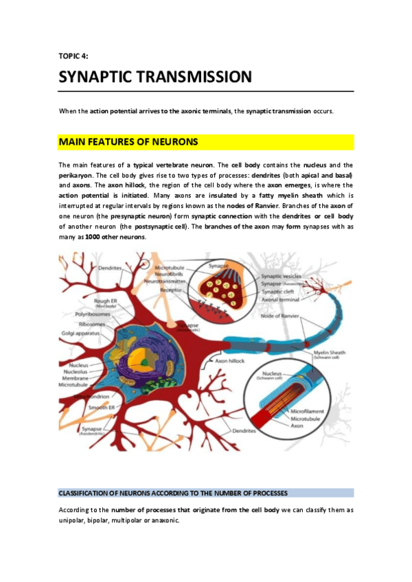T4 - Synaptic Transmission.pdf