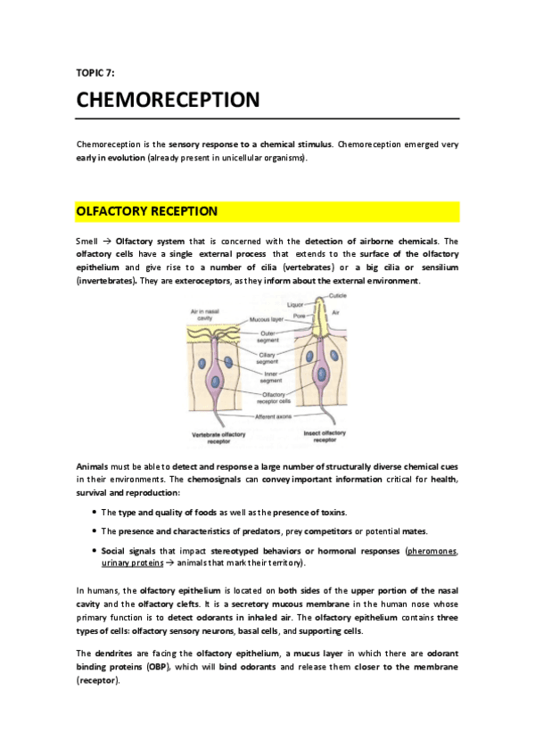 T7 - Chemoreception.pdf