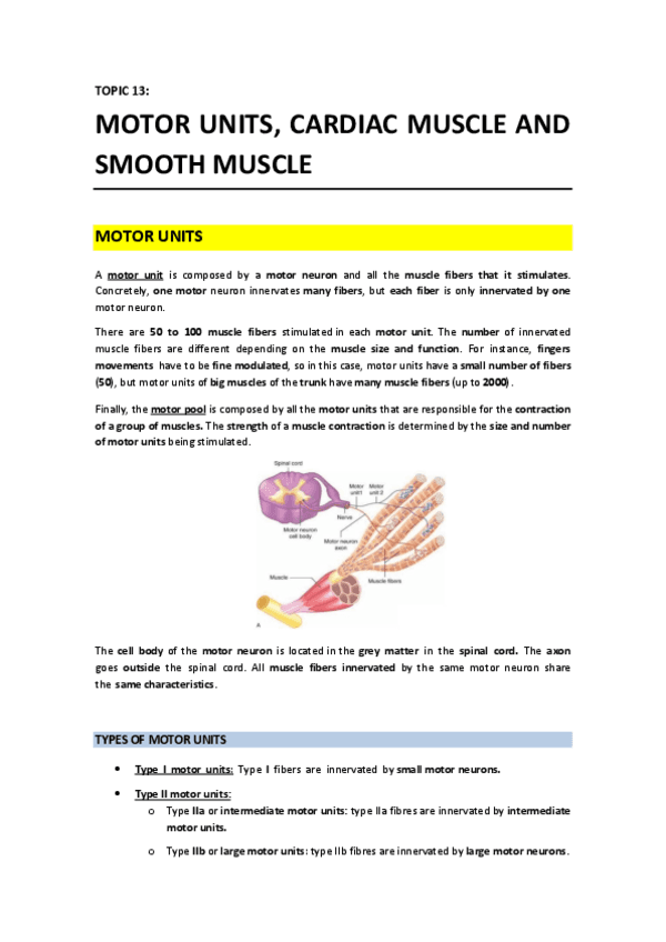 T13 - Motor Unit Cardiac Muscle and Smooth Muscle.pdf