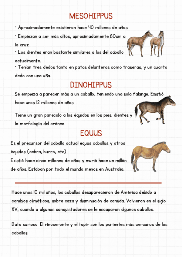 Evolucion-del-caballo-y-burro.pdf