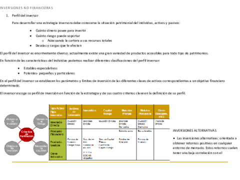 INVERSIONES NO FINANCIERAS. Tema I.pdf