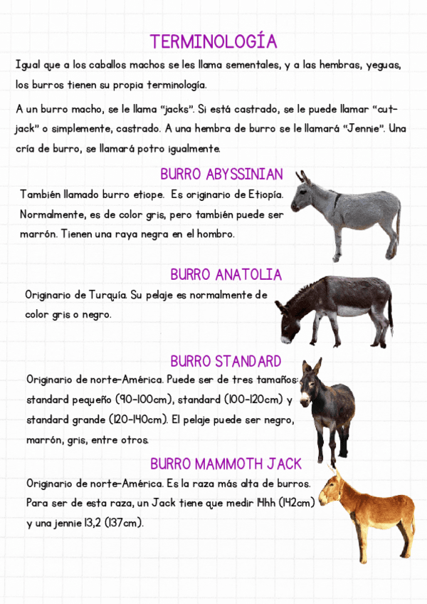 Razas-de-burros.pdf