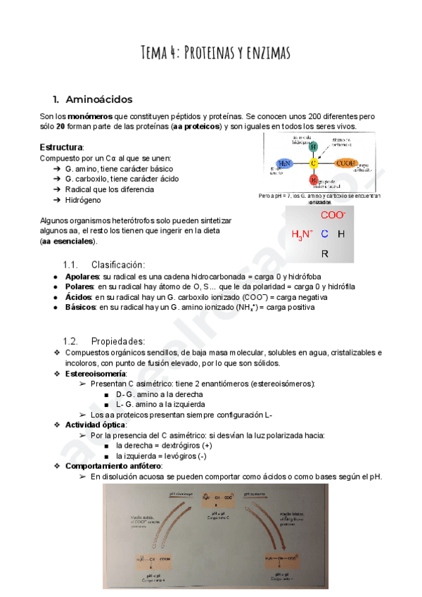 Tema-4-Proteinas.pdf