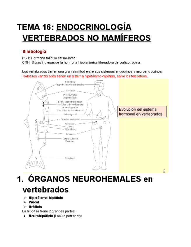 TEMA-16-ENDOCRINOLOGIA-VERTEBRADOS-NO-MAMIFEROS.pdf